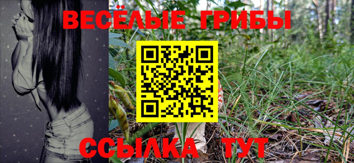 Абинск  Галлюциногенные грибы GOLDEN TEACHER  Вход с VPN 
